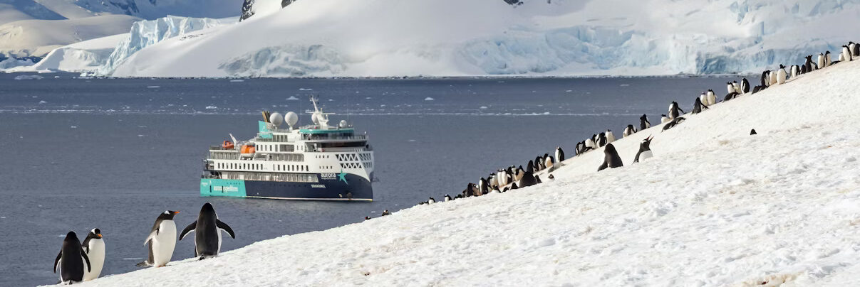 aurora expeditions sylvia earle, danco island, antarctica, david jaffe
