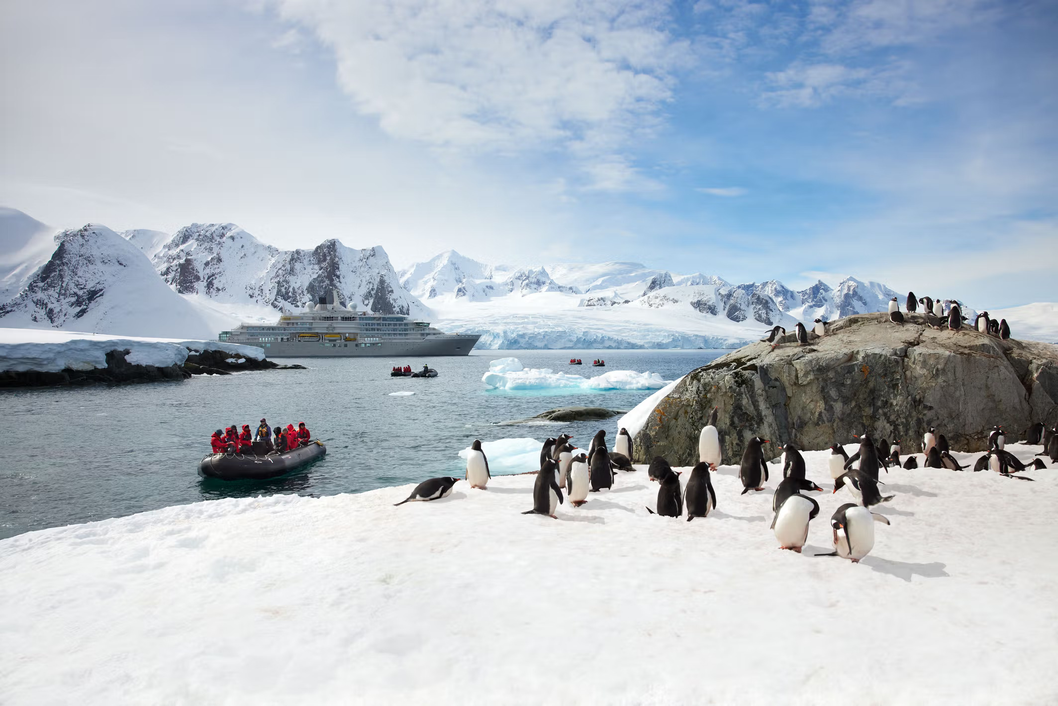 silversea antarctica expeditions